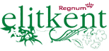 Regnum Elitkent